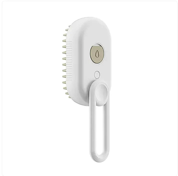 Steam Cat Brush PET MASSAGE BRUSH